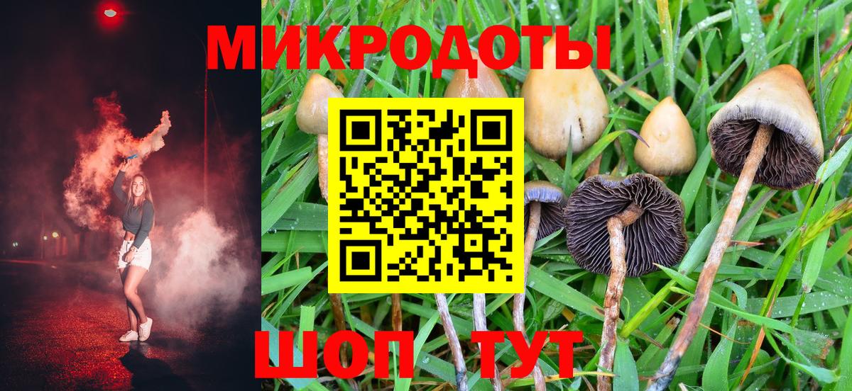 Псилоцибиновые грибы Magic Shrooms Кохма