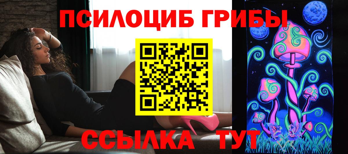 Кохма  Галлюциногенные грибы Psilocybe  Вход с VPN  Галлюциногенные грибы мицелий 